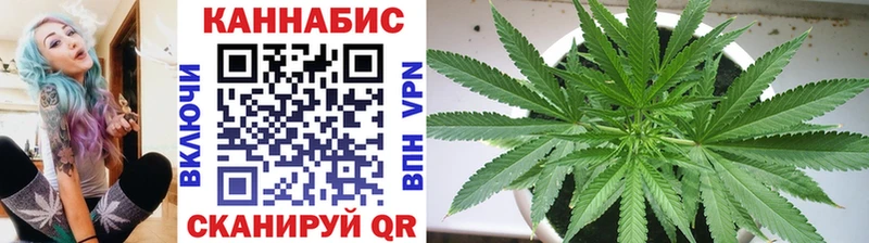 Где можно купить наркотики Нижний Тагил Канабис  Alpha-PVP  Галлюциногенные грибы  Мефедрон  Гашиш 