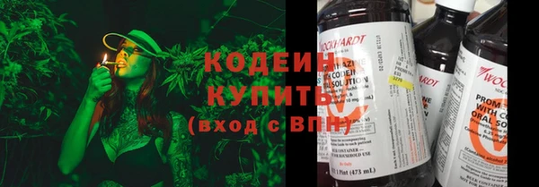 ГАЛЛЮЦИНОГЕННЫЕ ГРИБЫ Алексин