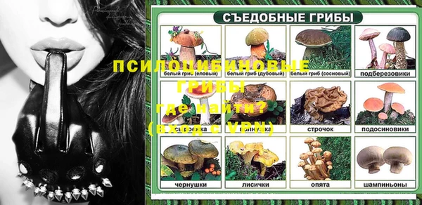 ГАЛЛЮЦИНОГЕННЫЕ ГРИБЫ Алексин