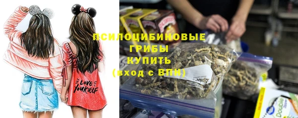ГАЛЛЮЦИНОГЕННЫЕ ГРИБЫ Алексин