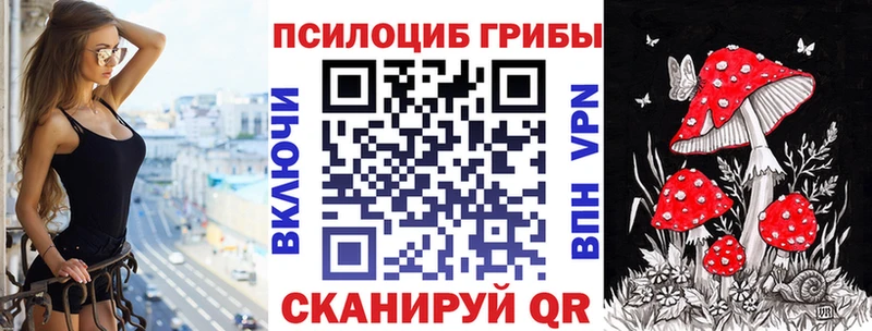 Псилоцибиновые грибы Psilocybe Нижний Тагил
