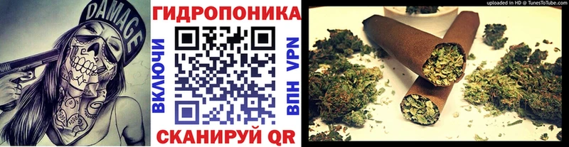 Каннабис конопля Нижний Тагил